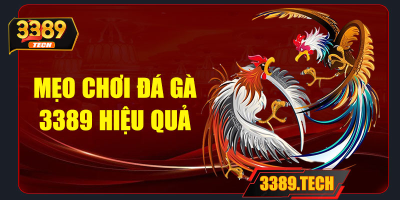 Mẹo chơi đá gà 3389 hiệu quả