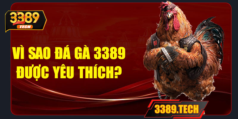 Vì sao đá gà 3389 được yêu thích?